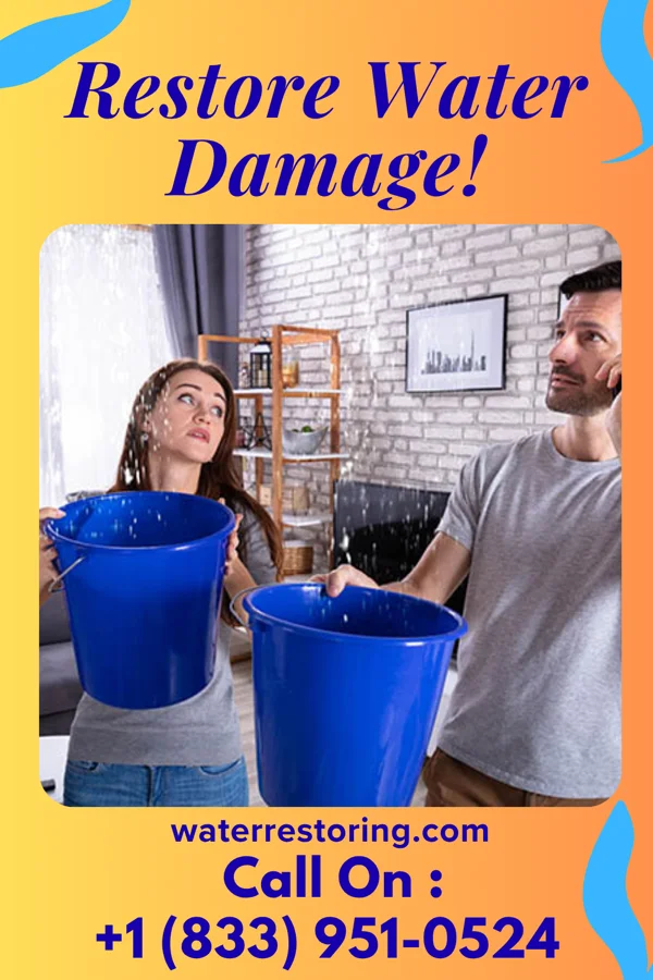 water restoration Trusted Damage Restoration Network Boswell