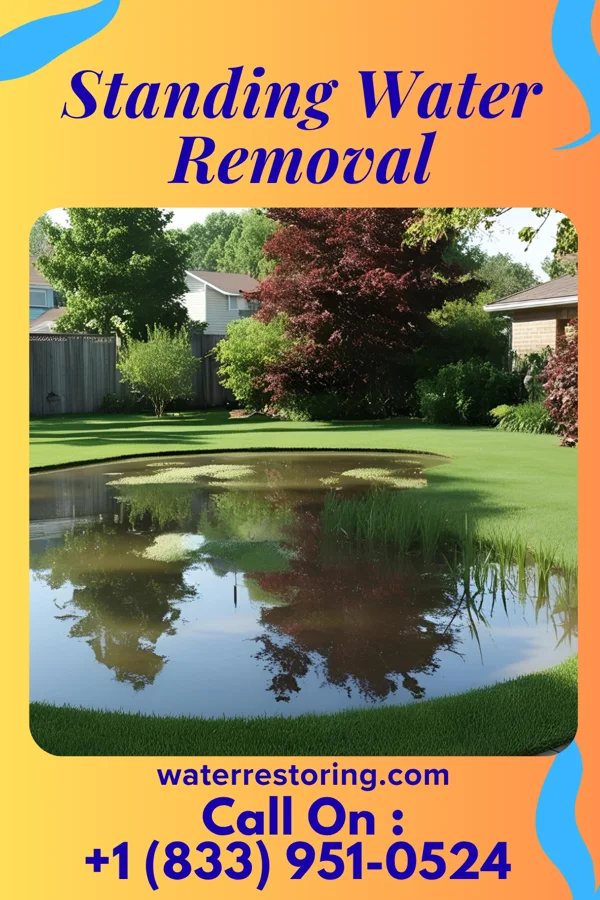Standing Water Removal in Boswell, IN